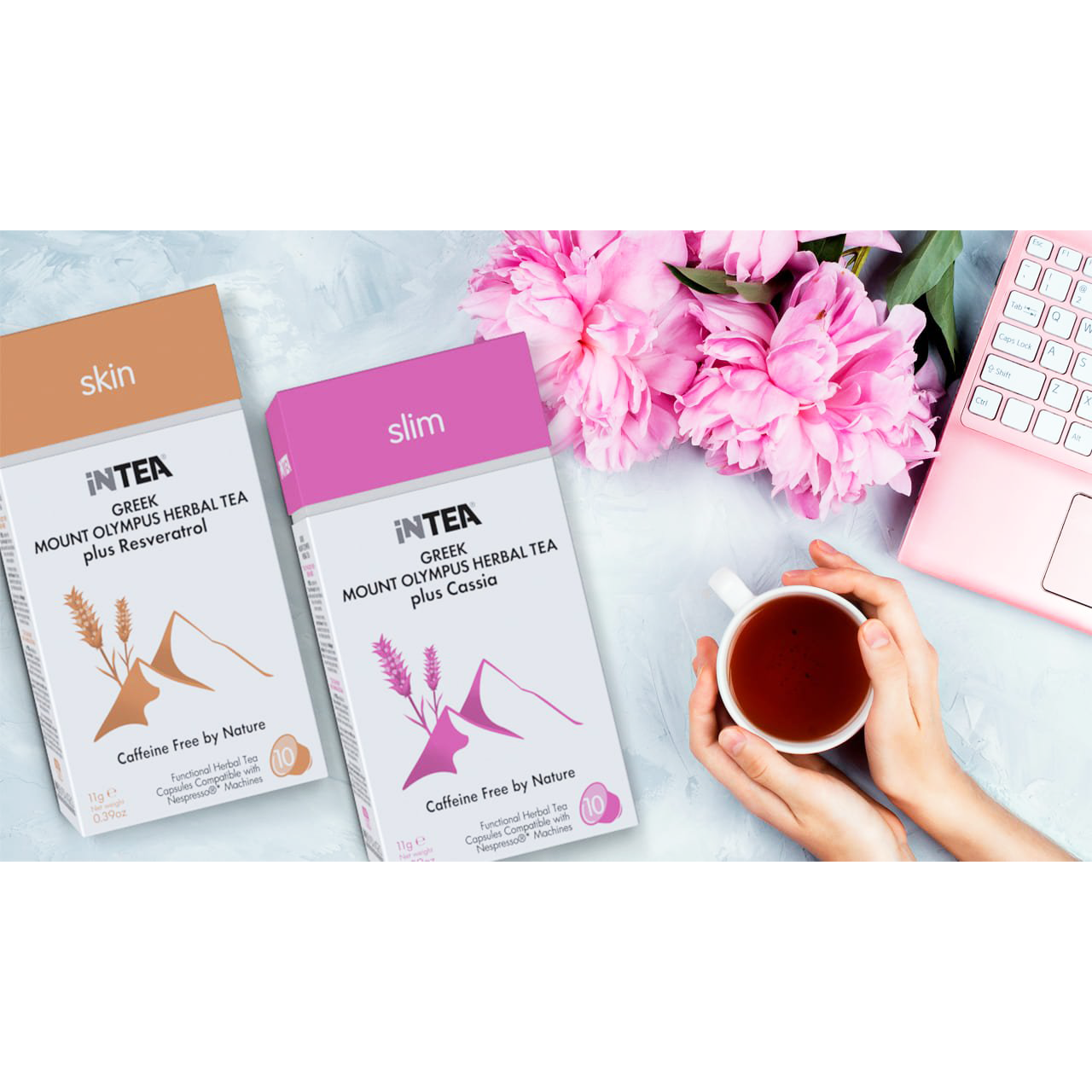 Συσκευασία B2B iNTEA Skin | Κουτί 10 τμχ φακελάκια-πυραμίδες φωτογραφία