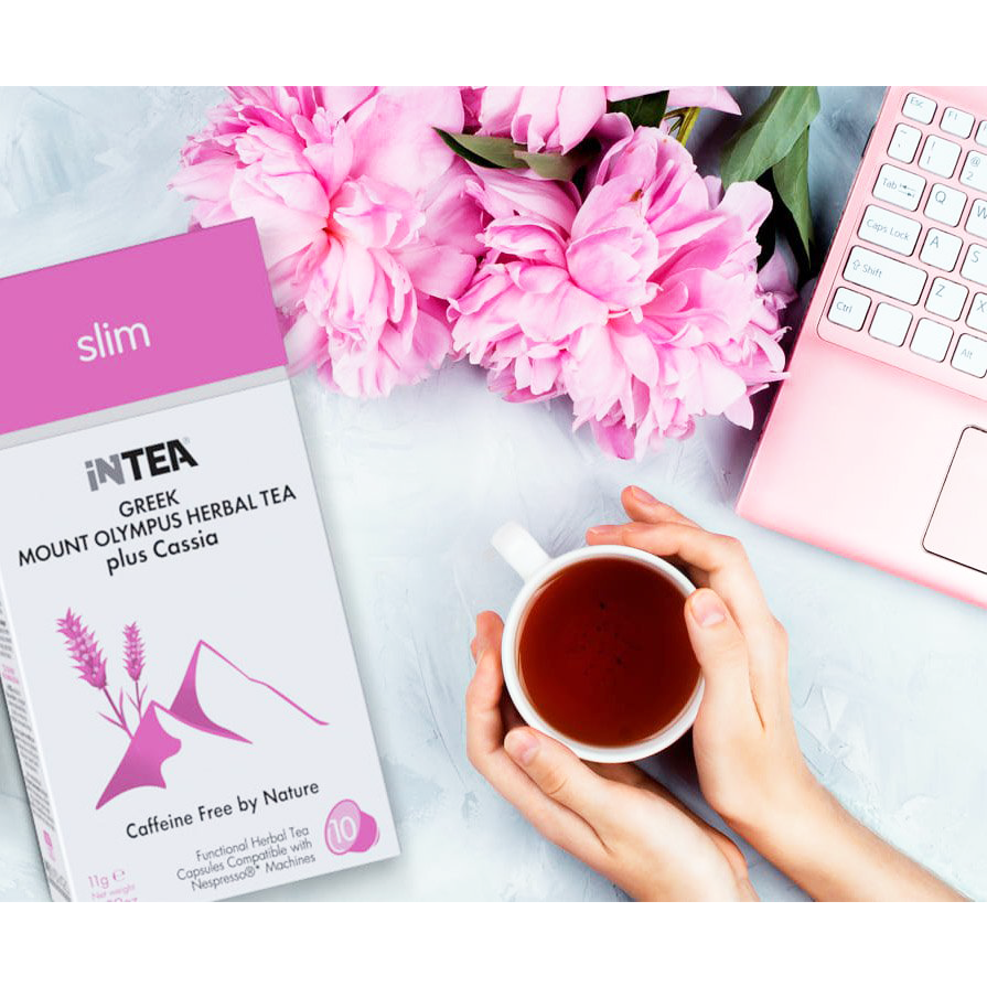 Συσκευασία B2B iNTEA Slim | Κουτί 10 τμχ φακελάκια-πυραμίδες φωτογραφία